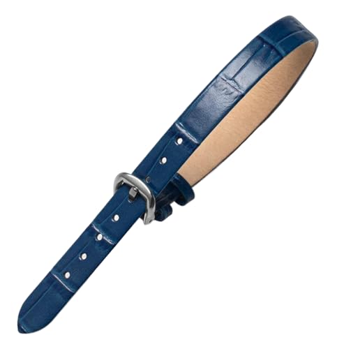 Chlikeyi Uhrenarmband aus echtem Leder, 10mm, Farbe 15, 10x2x220mm von Chlikeyi