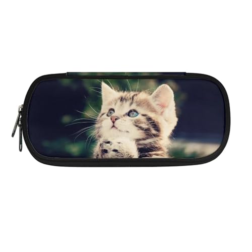 Chririnla Schulbedarf, Federmäppchen, Jungen, Mädchen, Teenager, Stiftetasche, Wolf, Federmäppchen, Kinder, Geldbörse, Reise-Make-up-Tasche, katze von Chririnla