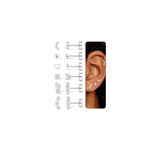 Chriscoco Ohrringe Silber Set Damen 14K Vergoldet Hypoallergene Chirurgenstahl Ohrringe Medizinische Ohrstecker Piercing Ohr Helix Tragus Piercing von Chriscoco