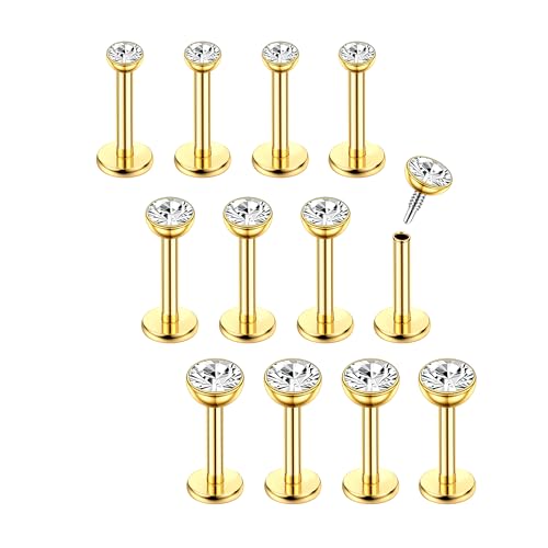Chriscoco 16G 12Pcs Helix Piercing Chirurgenstahl Ohr Conch Nasenpiercing Tragus Lippenpiercing Labret Studs 6mm für Frauen Männer CZ Gold Chriscoco 16G 12Pcs Helix Piercing Chirurgenstahl Ohr Conch Nasenpiercing Tragus Lippenpiercing Labret Studs 6mm für Frauen Männer CZ Gold von Chriscoco
