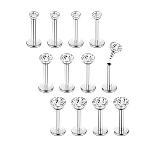 Chriscoco 16G 12Pcs Helix Chirurgenstahl Piercing Ohr Conch Nasenpiercing Tragus Lippenpiercing Labret Studs 6mm für Frauen Männer Silber Chriscoco 16G 12Pcs Helix Chirurgenstahl Piercing Ohr Conch Nasenpiercing Tragus Lippenpiercing Labret Studs 6mm für Frauen Männer Silber von Chriscoco