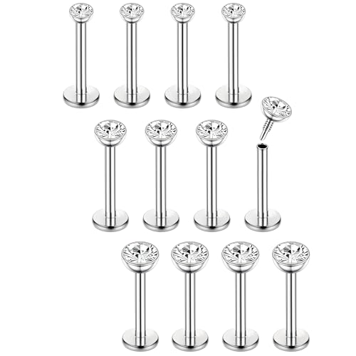 Chriscoco 16G 12Pcs Helix Chirurgenstahl Piercing Ohr Conch Nasenpiercing Tragus Lippenpiercing Labret Studs 8mm für Frauen Männer Silber Chriscoco 16G 12Pcs Helix Chirurgenstahl Piercing Ohr Conch Nasenpiercing Tragus Lippenpiercing Labret Studs 8mm für Frauen Männer Silber von Chriscoco