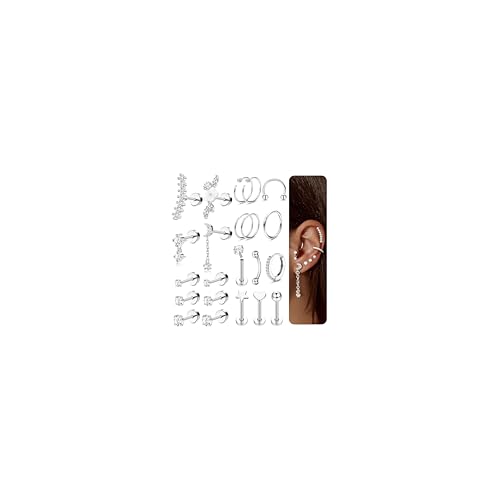 Chriscoco 22Pcs Helix Piercings Chirurgenstahl Piercing Ohr Silber Ohrringe Damen Medizinische Ohrstecker Klein Creolen Rook Conch Labret Tragus Piercing Für Mehrere Ohrlöcher von Chriscoco