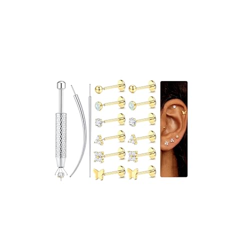 Chriscoco 6 Paar 16G Helix Piercings Chirurgenstahl Piercing Ohr Lippenpiercing Nasenpiercing Labret Tragus Piercing Gold Ohrpiercing Medusa Conch Piercings Set für Frauen Chriscoco 6 Paar 16G Helix Piercings Chirurgenstahl Piercing Ohr Lippenpiercing Nasenpiercing Labret Tragus Piercing Gold Ohrpiercing Medusa Conch Piercings Set für Frauen von Chriscoco