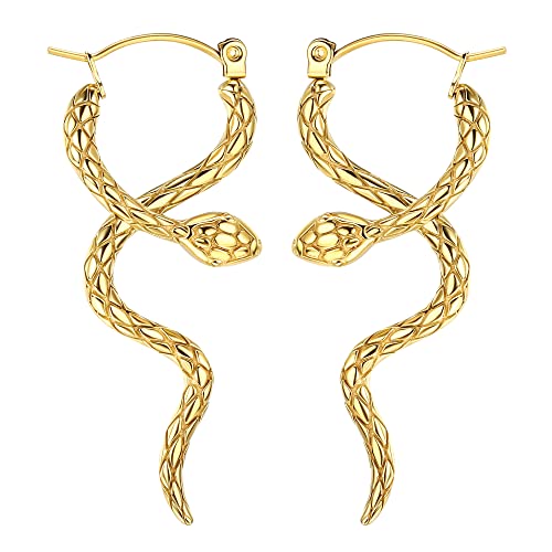 Chriscoco G23 Titan Schlangenohrringe für Damen Mädchen Punk Schlange Ohrringe Hängend Gothic Schlange Tropfen Ohrringe von Chriscoco