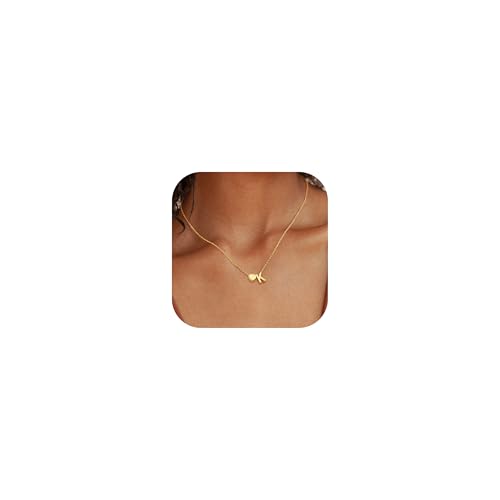 Chriscoco Kette mit Buchstabe 𝐒𝐢𝐥𝐛𝐞𝐫 𝟗𝟐𝟓 Halskette mit Buchstaben Gold Kette Damen Hypoallergene Herzkette Anfangsbuchstaben Silberkette Damen - Mit Schmuckschatulle von Chriscoco