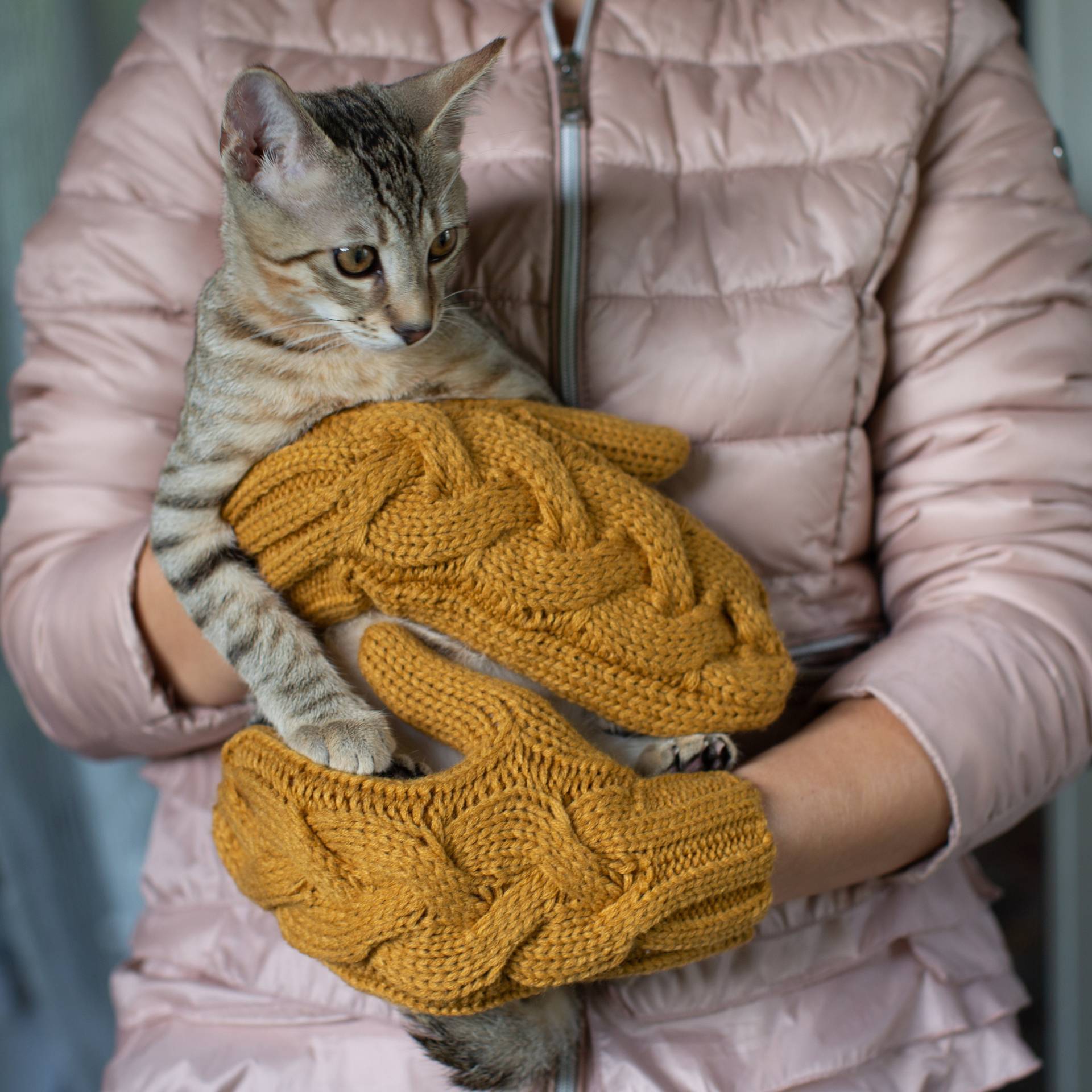 Fäustlinge, Bernie Handschuhe, Winterhandschuhe, Handschuhe Für Frauen, Strickhandschuhe, Warme Fäustlinge Häkeln, Handgestrickte Pullover von ChristianLido