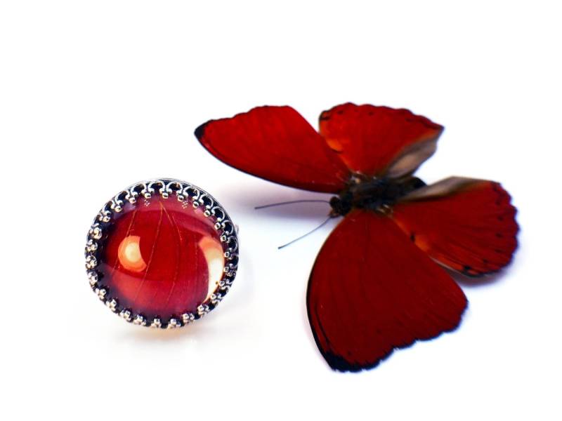 Echter Schmetterling Flügel Ring Jahrestag Geschenk Für Frau 1 Jahr Rot Geburtsstein Kristall Verstellbare Sterling Silber Ringe Frauen von ChrysalisStudios