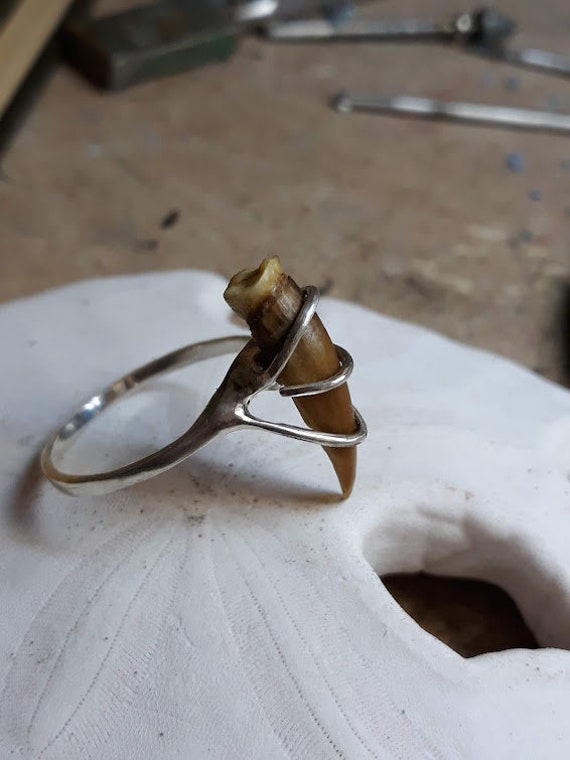 Die Hexe Vom Schildkrötenteich. Echte Schildkrötenkralle & Sterling Silber Ring. Wird Auf Bestellung Hergestellt Und Kann in Allen Größen von Chymiera