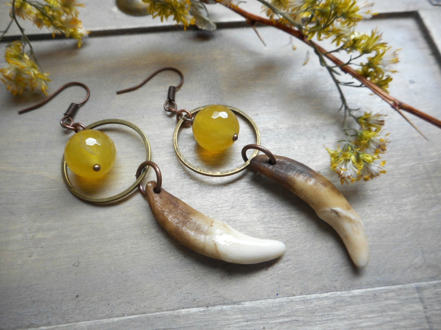 Die Voll Wolf Mond Ohrringe. Coyote Reißzähne Und Goldene Citrin Rustikale Ohrringe #festiveetsyfinds von Chymiera