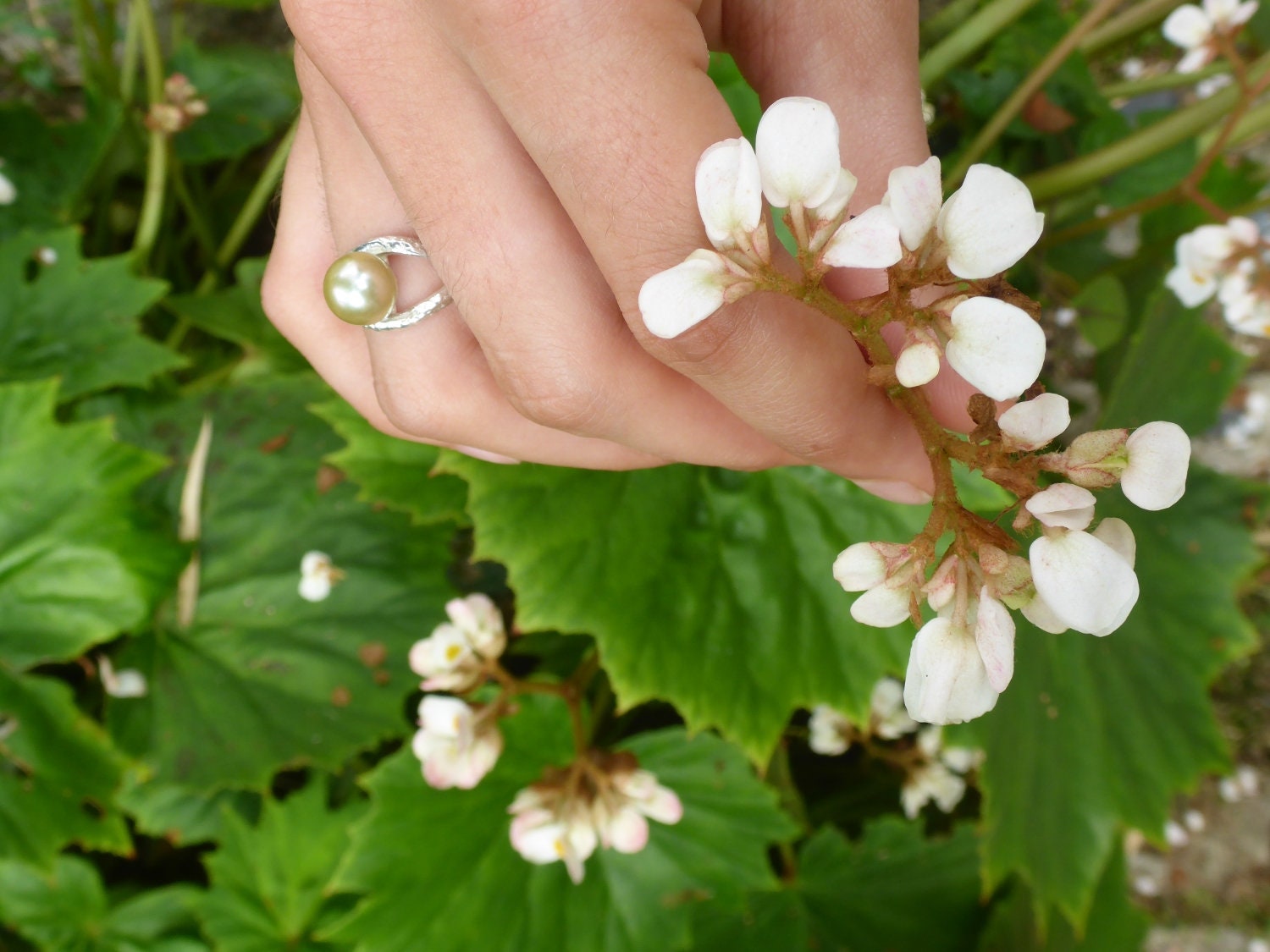 Silber Gehämmert Perle Ring - Ein Von Einer Art Silber Gehämmert Perle Ring - Ein Von Einer Art von CicelyCliff