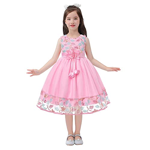 Cichic Mädchen Kleider Partei Kleider Elegant Kinder Prinzessin Kleid Kinder Hochzeits Geburtstag Kleid Blumenmädchen Formale Kleid 2-10 Jahre (2-3 Jahre, Rosa Stickerei) von Cichic