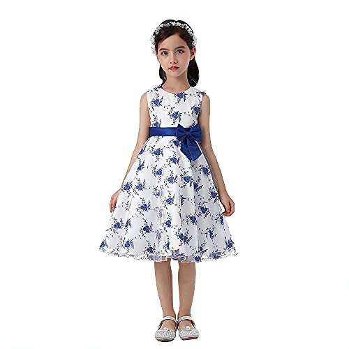 Cichic Mädchen Kleider Partei Kleider Elegant Kinder Prinzessin Kleid Kinder Hochzeits Geburtstag Kleid Blumenmädchen Formale Kleid 2-10 Jahre (3-4 Jahre, Baby Blau) von Cichic