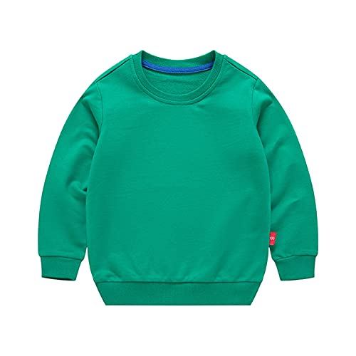 Cicilin Unisex Kinder Pullover für Jungen Mädchen Baumwolle Sweatshirt Kinder Langarm Causal T Shirts Pullover Herbst Winter Alter 1-7 Jahre, grün, 110 cm von Cicilin