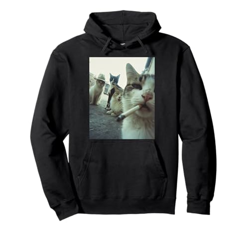 Rauchende Katze Meme Lustige Geschenke für Männer Frauen Pullover Hoodie Rauchende Katze Meme Lustige Geschenke für Männer Frauen Pullover Hoodie von Cigarette Cat Gen Z Joke Tee