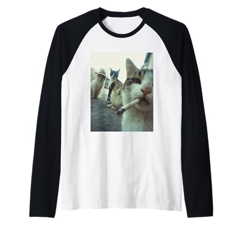 Rauchende Katze Meme Lustige Geschenke für Männer Frauen Raglan Rauchende Katze Meme Lustige Geschenke für Männer Frauen Raglan von Cigarette Cat Gen Z Joke Tee
