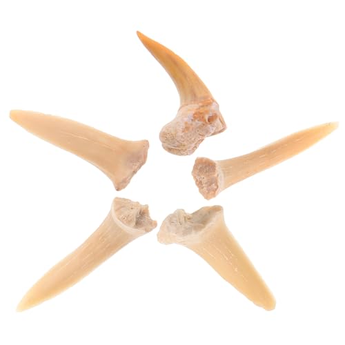 Ciieeo 1 Satz Fossilienanhänger Haifischzähne Hai-anhänger Schlüsselanhänger in Zahnform Haie Reiz Strand-surfer-halskette Zahnschmuck Für Frauen Anhänger Mit Tierperlen Zahncharm 5 Stück Ciieeo 1 Satz Fossilienanhänger Haifischzähne Hai-anhänger Schlüsselanhänger in Zahnform Haie Reiz Strand-surfer-halskette Zahnschmuck Für Frauen Anhänger Mit Tierperlen Zahncharm 5 Stück von Ciieeo