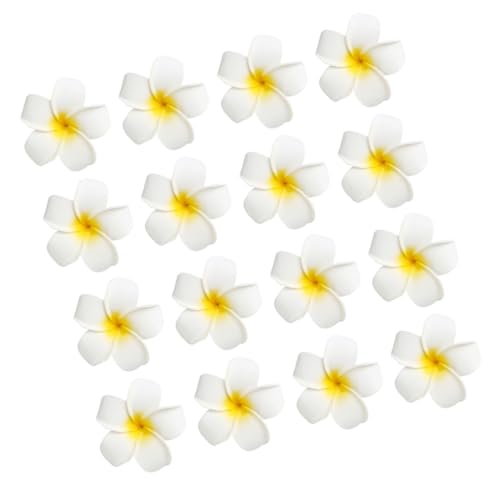 Ciieeo 24 Stück Teiliges Plumeria Haarclip Große Hawaiianische Blumen Haarklammern aus Stabilem EVA Rutschfest Modischer Haarschmuck für Damen für Strandpartys Alltag und Urlaub von Ciieeo