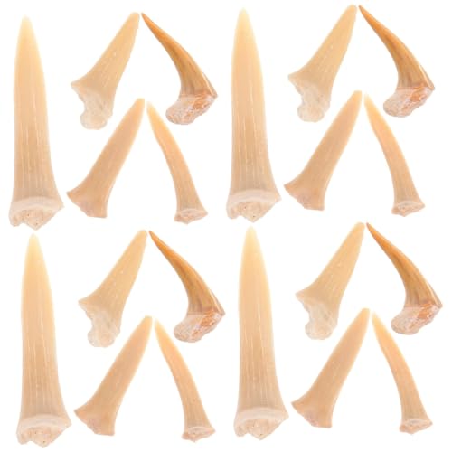 Ciieeo 4 Sätze Fossilienanhänger Haifischzähne Zahn Haie Strand Halskette Zähneschmuck Reiz Frauen Männer Strand-surfer-halskette Surfer -halskette Charme Hai-anhänger 5 Stücke * 4 Ciieeo 4 Sätze Fossilienanhänger Haifischzähne Zahn Haie Strand Halskette Zähneschmuck Reiz Frauen Männer Strand-surfer-halskette Surfer -halskette Charme Hai-anhänger 5 Stücke * 4 von Ciieeo