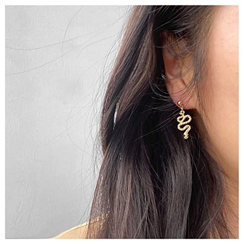 Cimenexe Gothic Schlange Ohrringe Punk Schlange Ohrringe Gold Schlange Ohrstecker Minimalistische Schlange Schlange Tropfen Ohrringe Schmuck Für Frauen Und Mädchen von Cimenexe