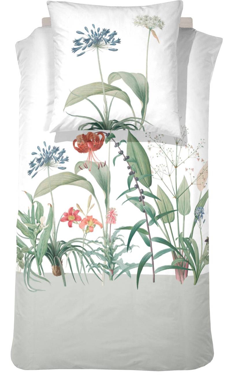 Cinderella Bettwäsche "Cinderella - Celeste" 3 Stk. tlg. Made in Green“-Label von OEKO-TEX von Cinderella