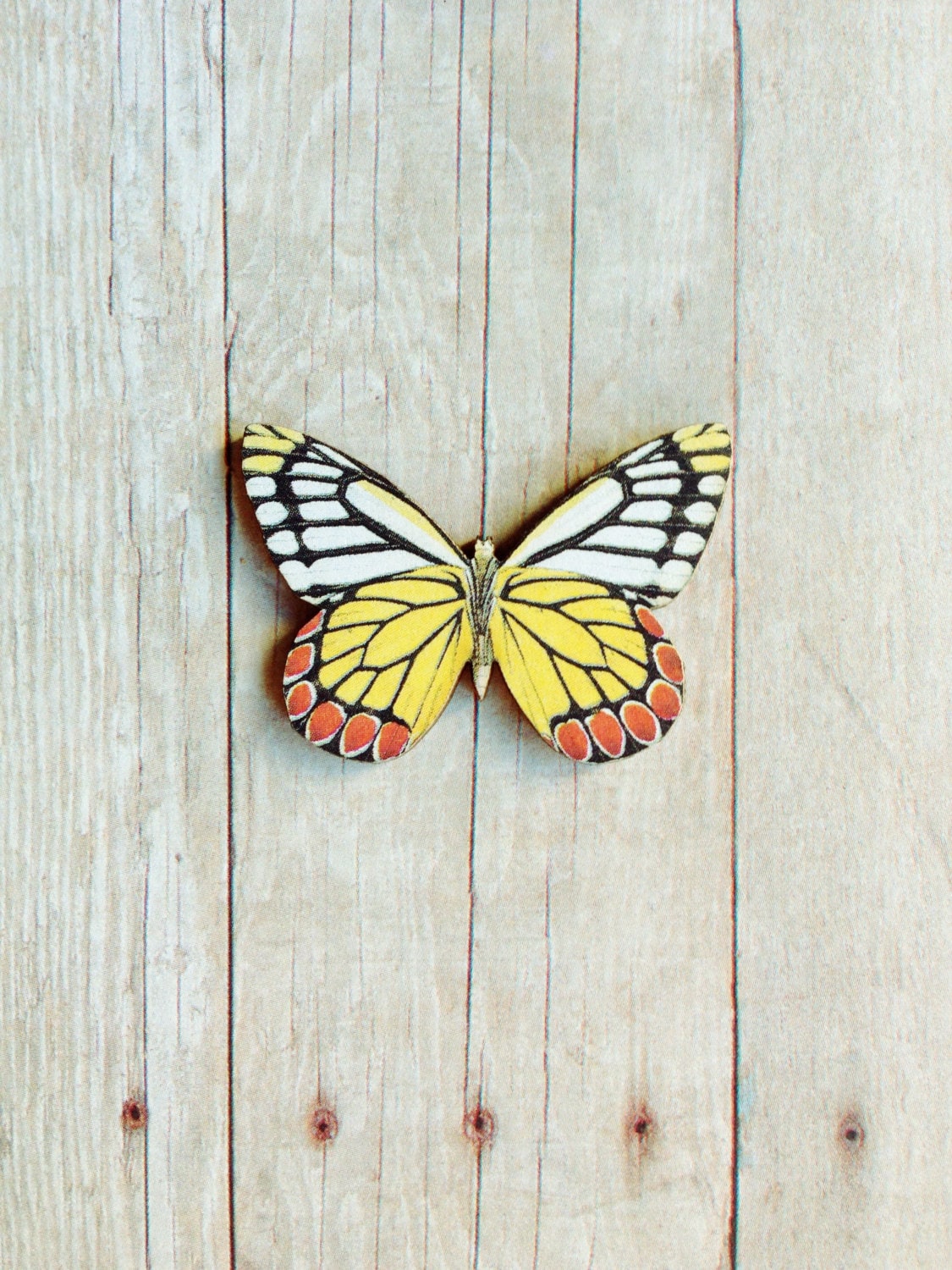Gelbe Schmetterling Brosche Insekt Schmuck Gelbe Schmetterling Brosche Insekt Schmuck von CircaAD