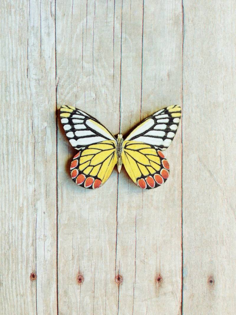Gelbe Schmetterling Brosche Insekt Schmuck Gelbe Schmetterling Brosche Insekt Schmuck von CircaAD
