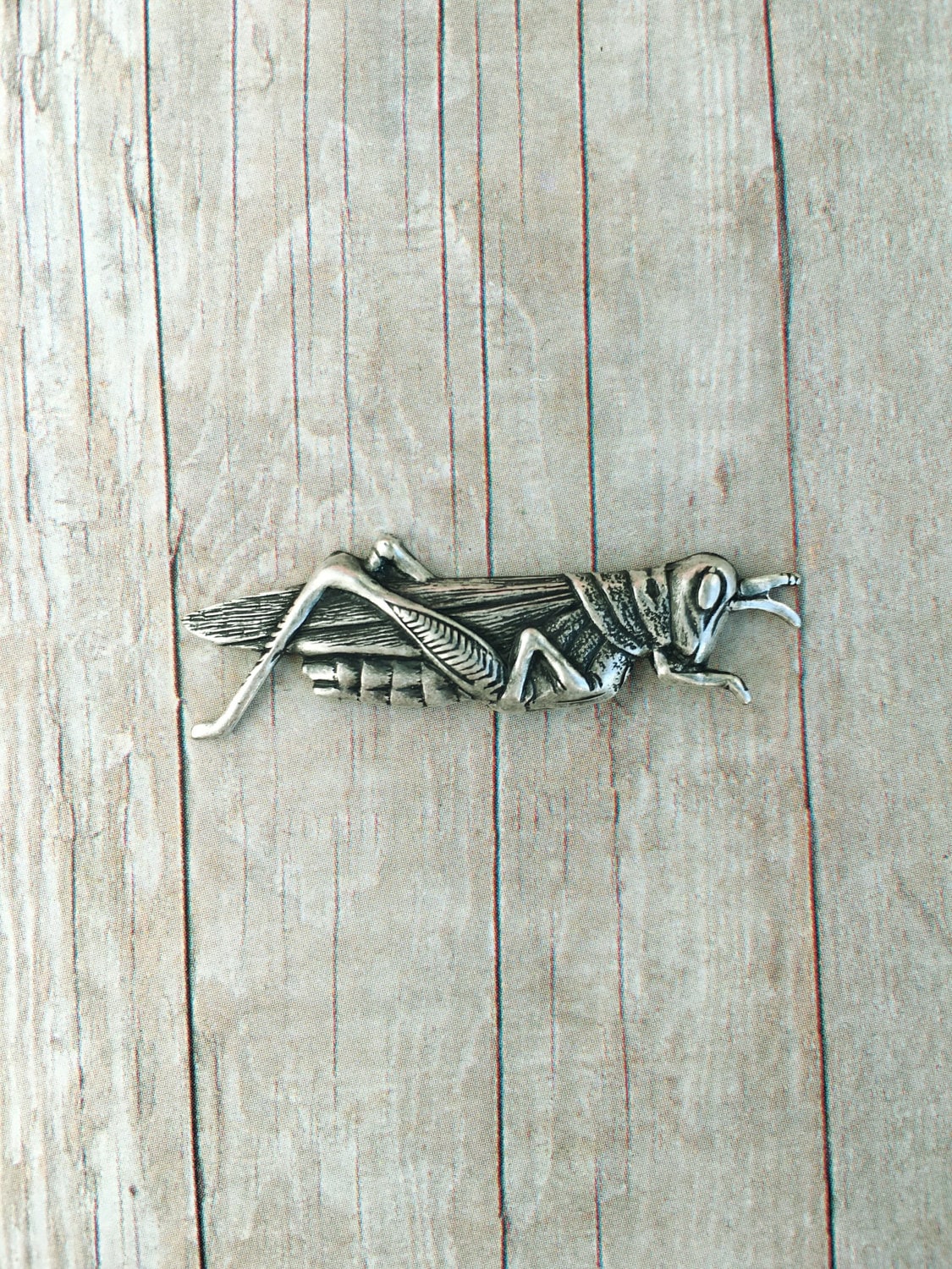 Heuschrecke Brosche Insekt Pin Garten Schmuck Natur Heuschrecke Brosche Insekt Pin Garten Schmuck Natur von CircaAD