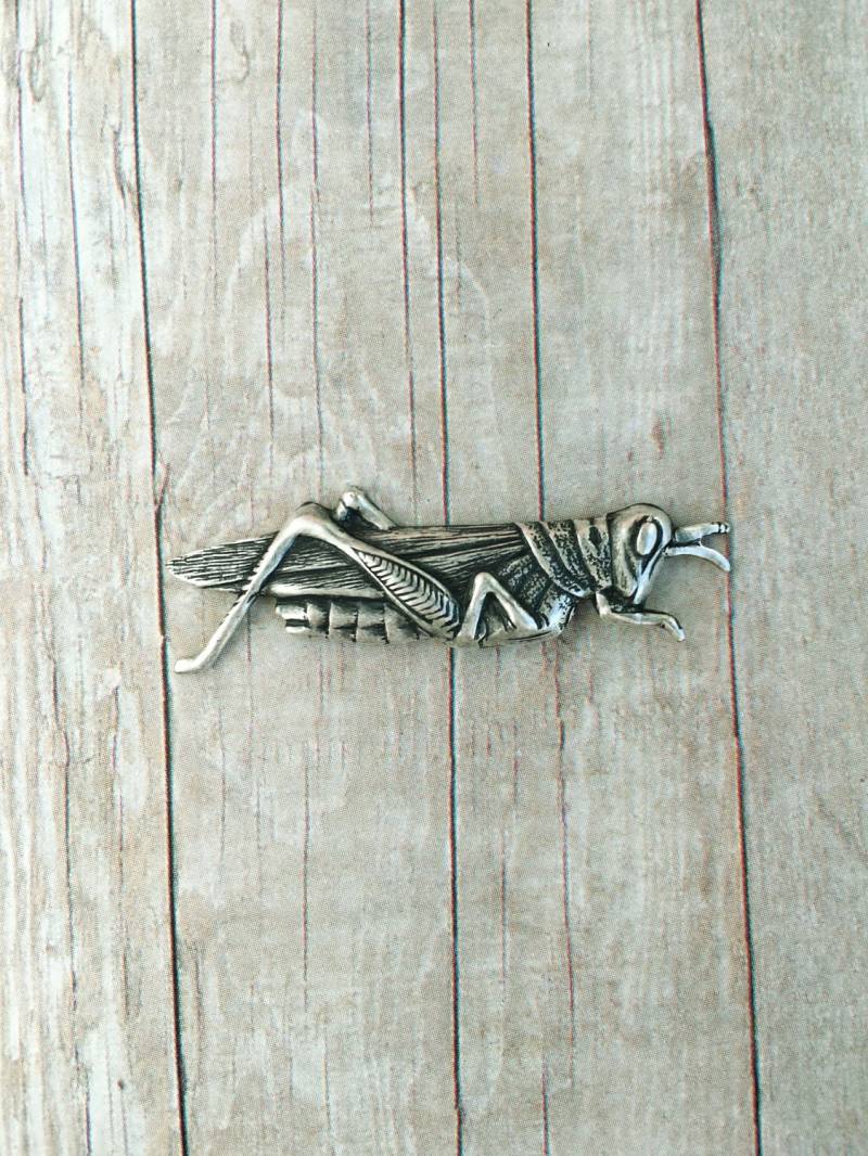 Heuschrecke Brosche Insekt Pin Garten Schmuck Natur von CircaAD