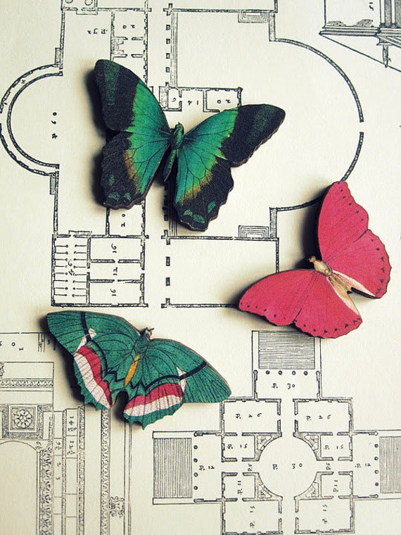 Holz Schmetterling Brosche Illustration Grün Rot Teal Fee Schmuck von CircaAD