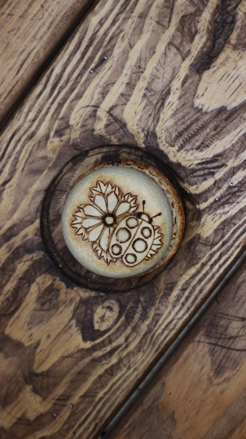 Handgemachte Marienkäfer Trinketbox Natur Inspirierte Dekorative Box Handgemachte Marienkäfer Trinketbox Natur Inspirierte Dekorative Box von CitrusHandcrafts