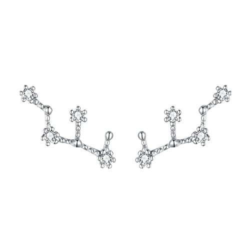 ClearineDamen Ohrringe Sternzeichen 925 Sterling Silber CZ Jungfrau Horoskop Tierkreis 12 Konstellation Ohrstecker Stud von Clearine