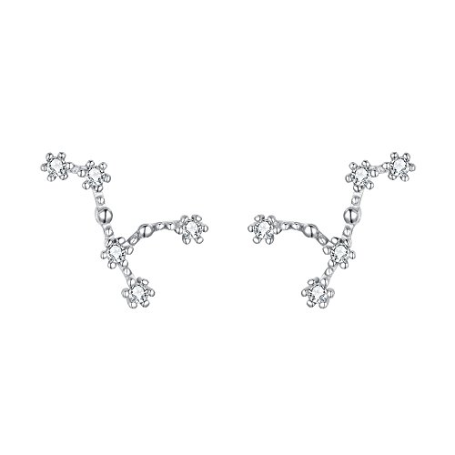 ClearineDamen Ohrringe Sternzeichen 925 Sterling Silber CZ Löwe Horoskop Tierkreis 12 Konstellation Ohrstecker Stud von Clearine