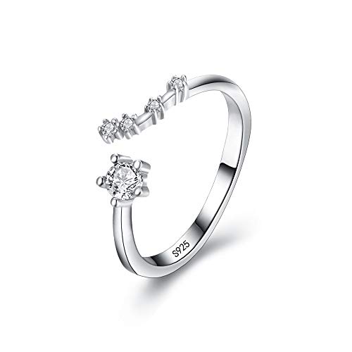 Clearine Damen Ring 925 Sterling Silber CZ Horoskop Tierkreis 12 Konstellation Astrologie Verstellbar Statement Geburtstagsgeschenk von Clearine