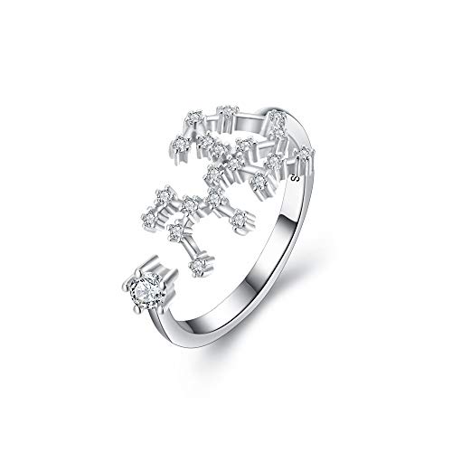 Clearine Damen Ring 925 Sterling Silber CZ Horoskop Tierkreis 12 Konstellation Astrologie Verstellbar Statement Geburtstagsgeschenk von Clearine