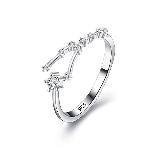 Clearine Damen Ring 925 Sterling Silber CZ Horoskop Tierkreis 12 Konstellation Astrologie Verstellbar Statement Geburtstagsgeschenk von Clearine