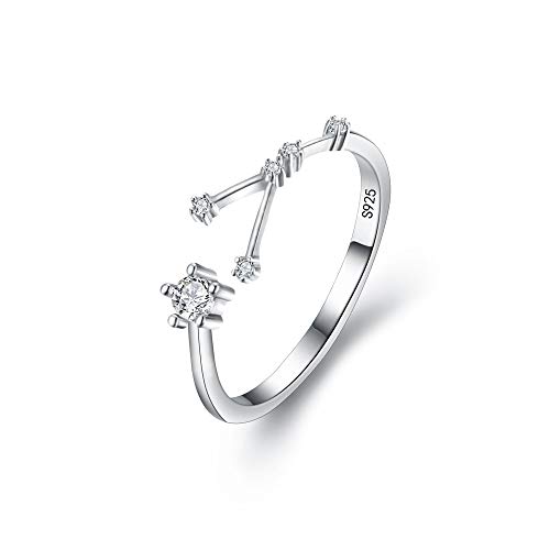 Clearine Damen Ring 925 Sterling Silber CZ Horoskop Tierkreis 12 Konstellation Astrologie Verstellbar Statement Geburtstagsgeschenk von Clearine