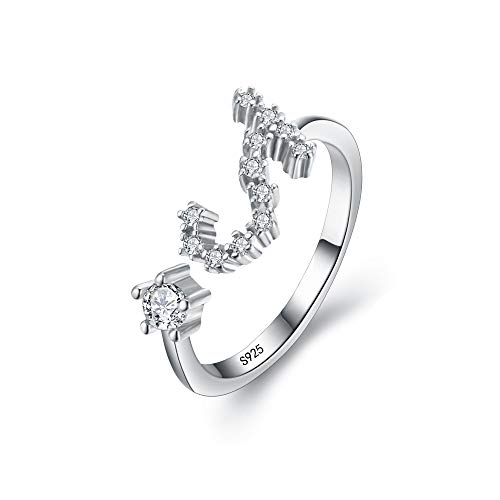 Clearine Damen Ring 925 Sterling Silber CZ Horoskop Tierkreis 12 Konstellation Astrologie Verstellbar Statement Geburtstagsgeschenk von Clearine