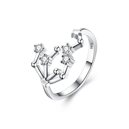 Clearine Damen Ring 925 Sterling Silber CZ Horoskop Tierkreis 12 Konstellation Astrologie Verstellbar Statement Fische von Clearine