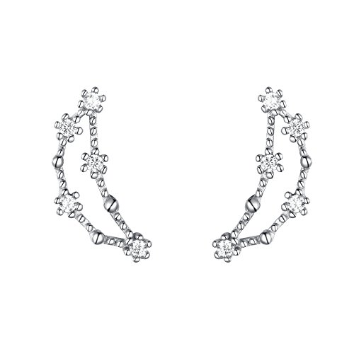 ClearineDamen Ohrringe Sternzeichen 925 Sterling Silber CZ Steinbock Horoskop Tierkreis 12 Konstellation Ohrstecker Stud von Clearine