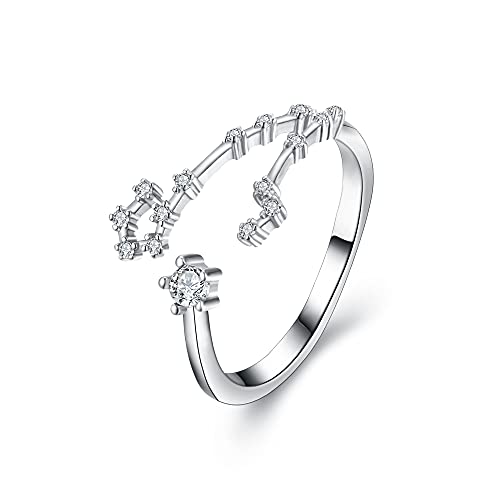 Clearine 12 Konstellation Sternzeichen Zirkonia Verstellbarer Ring für Damen Mädchen Fische Horoskop Sternbild Astrologie von Clearine