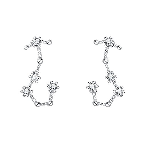 ClearineDamen Ohrringe Sternzeichen 925 Sterling Silber CZ Skorpion Horoskop Tierkreis 12 Konstellation Ohrstecker Stud von Clearine