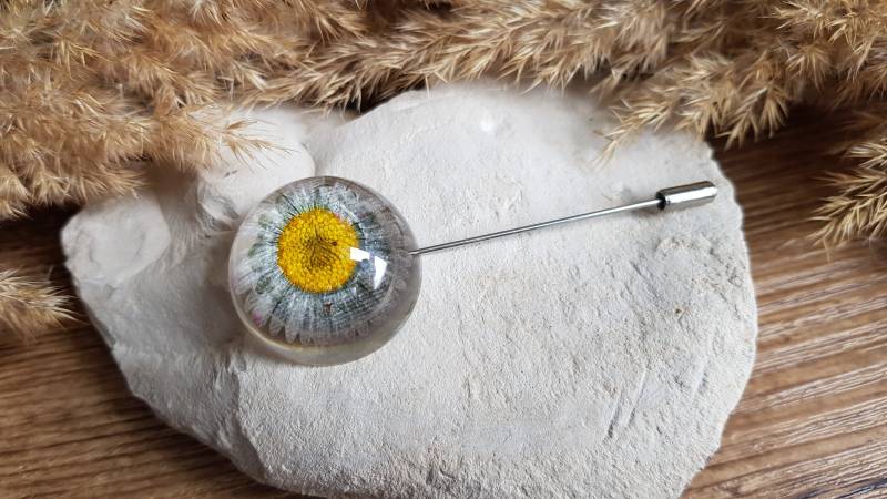 Brosche Aus Getrockneten Gänseblümchen. Florale Halbkugelbrosche. Blumen von CleopheaResinea