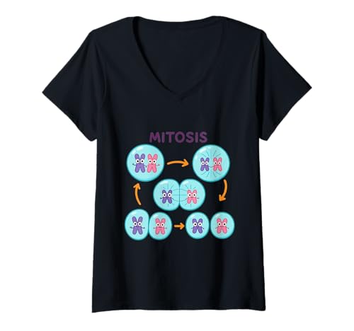 Damen Mitose Zellteilung Mikrobiologie Zellbiologie T-Shirt mit V-Ausschnitt Damen Mitose Zellteilung Mikrobiologie Zellbiologie T-Shirt mit V-Ausschnitt von Clever Witty Mitosis Designs