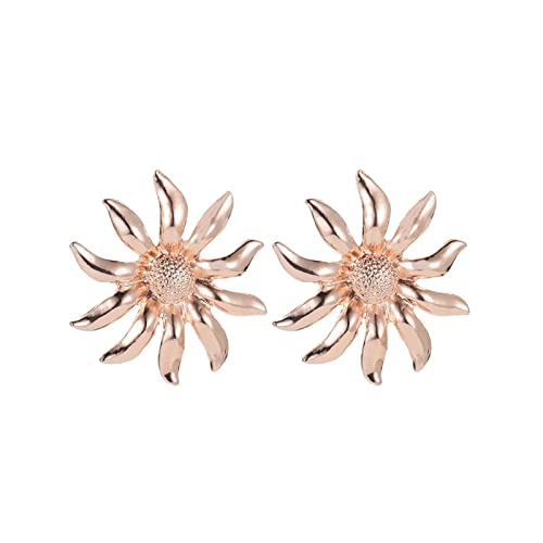 Clicitina Die neueste einfache Mode im europäischen Stil eignet Sich für Damen-Party-Schmuckohrringe Yde60 (A-Rose Gold, One Size) von Clicitina