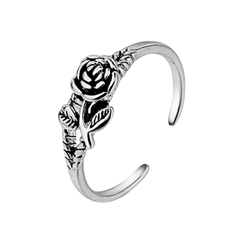 Clicitina Ring Ehering Verstellbarer Ring silbrig Ton Frauen Mädchen Liebhaber Geschenke Yl429 (Silver, One Size) von Clicitina