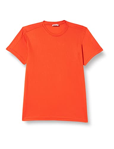 Clique Herren Funktions T-Shirt aus Polyester T-Shirt für den Sport, perforiert und feuchtigkeitsabführend in 10 Farben S M L XL XXL XXXL XXXXL (Orange, L (Large)) von Clique