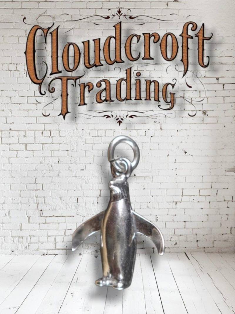 sterling Silver 3D Pinguin Anhänger Für Armband Oder Kette von CloudcroftTrading
