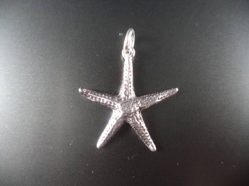 Sterling Silber Seestern Charm Strand Hochzeit Schmuck von CloudcroftTrading