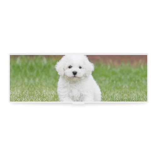Cmagnifico Federmäppchen, Bichon Frisé-Hund, kreative einfache Schreibwaren-Box, 19,5 x 6,8 x 3 cm, Stil:, Einheitsgröße, Federmäppchen von Cmagnifico